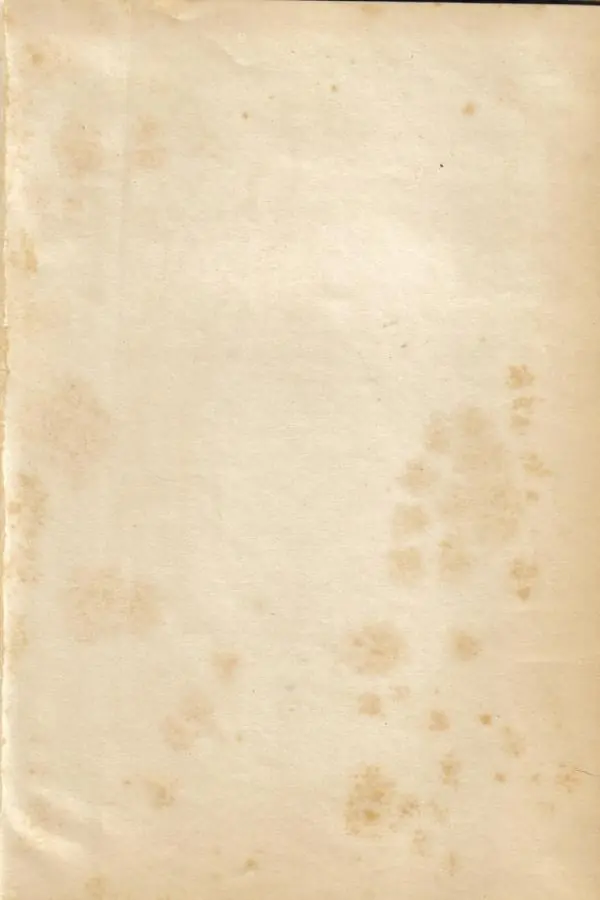 diseño