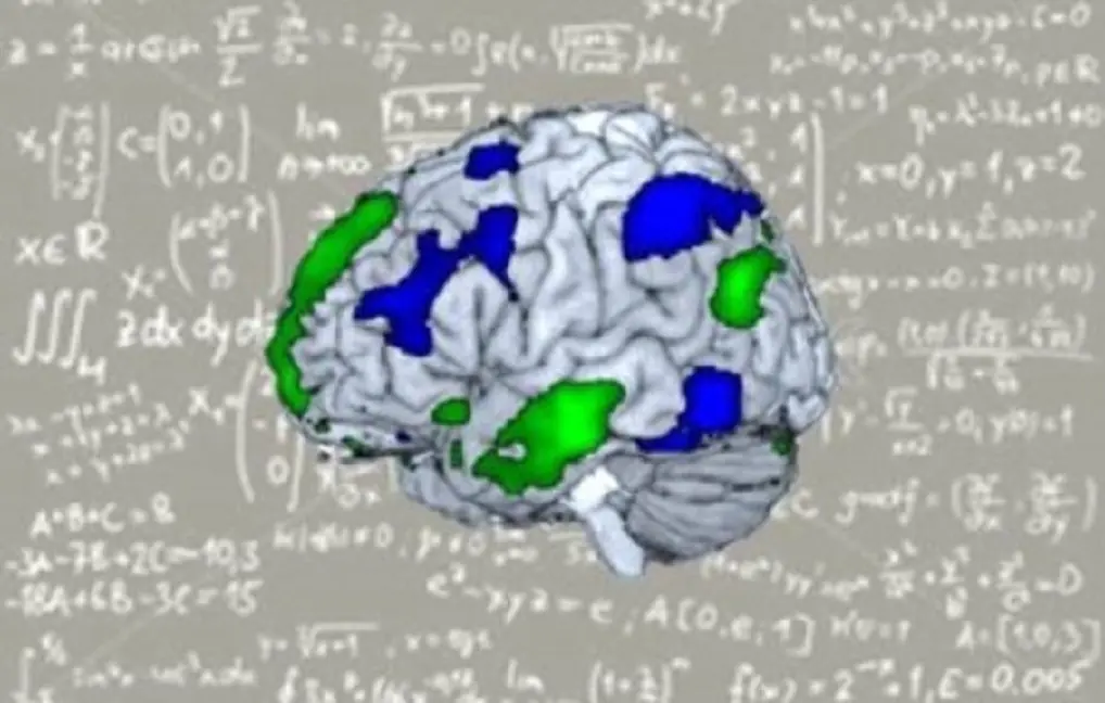 Una red cerebral separada de la del lenguaje se ocupa de las