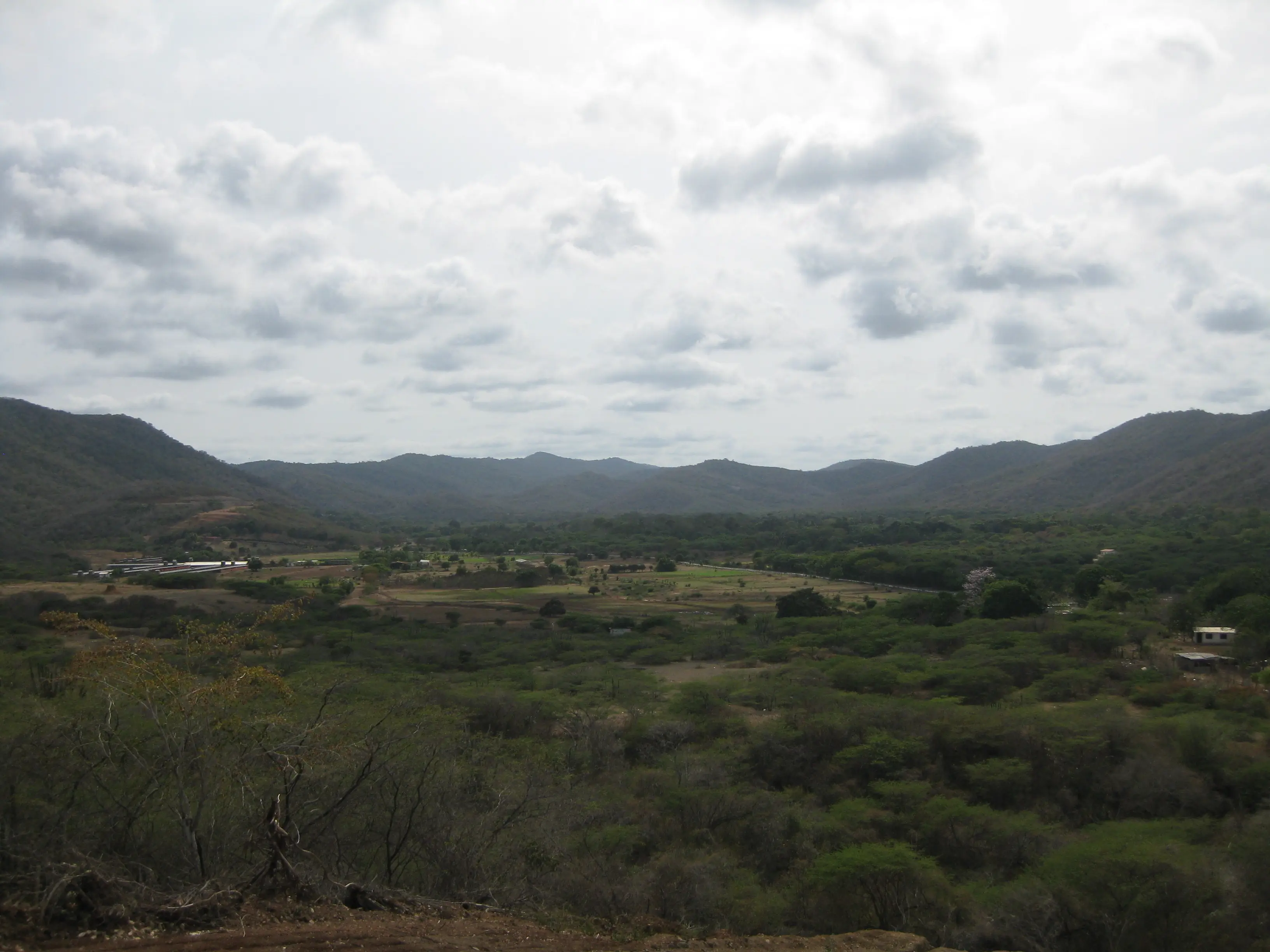 sol arena