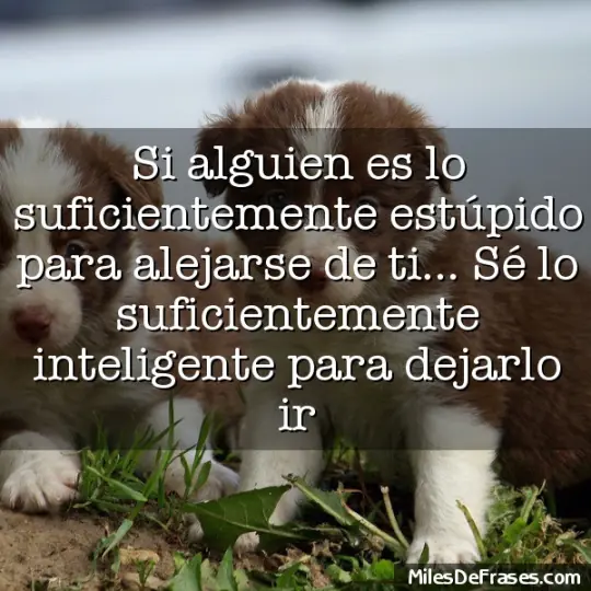 frases
