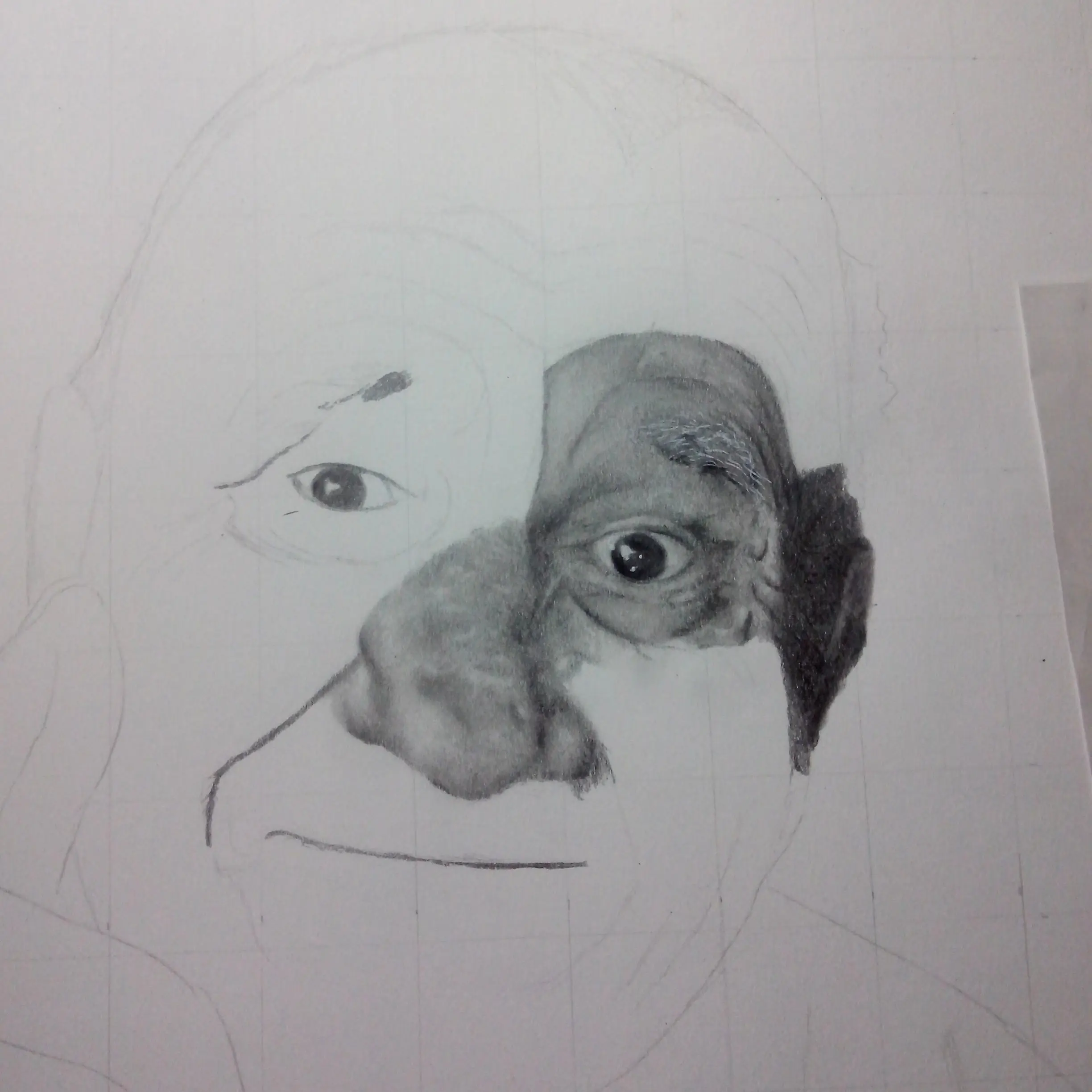 retrato retrato