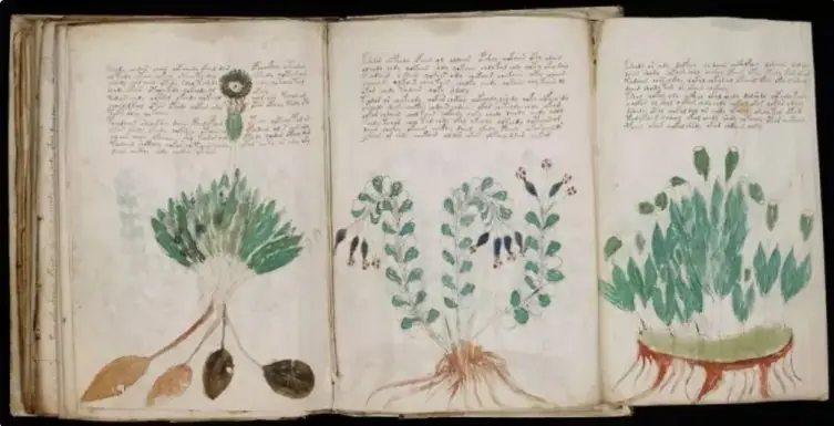 Versión digital del misterioso manuscrito Voynich GRATIS