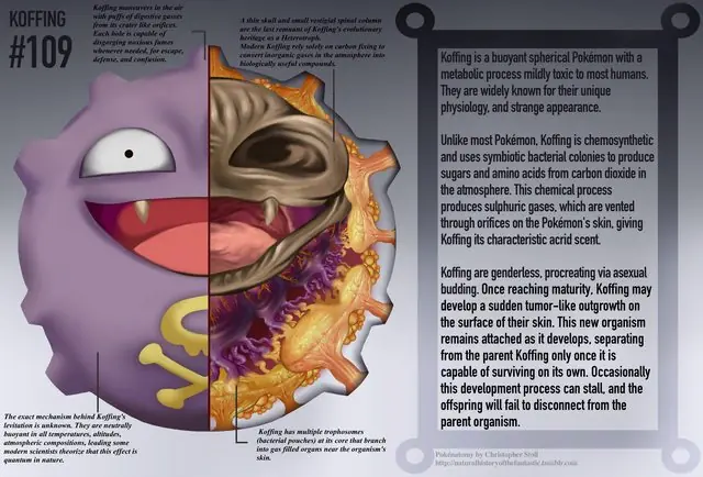 Crean un manual de anatomía… de Pokémon
