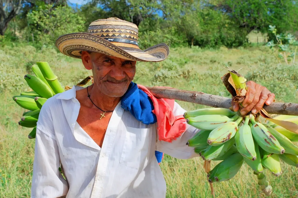 [MEGAPOST]  Punto de vista sobre acuerdos de paz en Colombia
