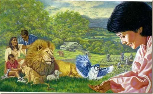 homeopatia