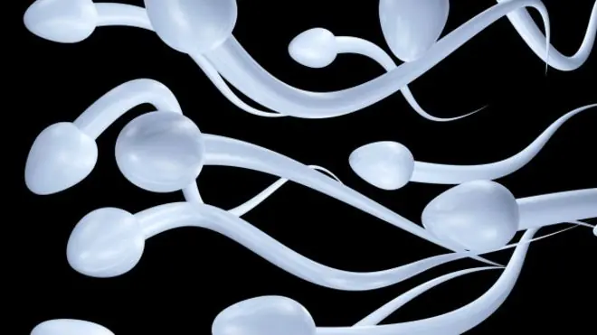 ¡Alérgicos al semen!