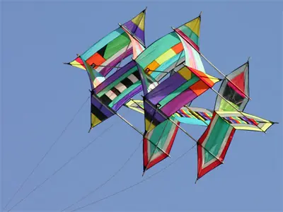 propio
