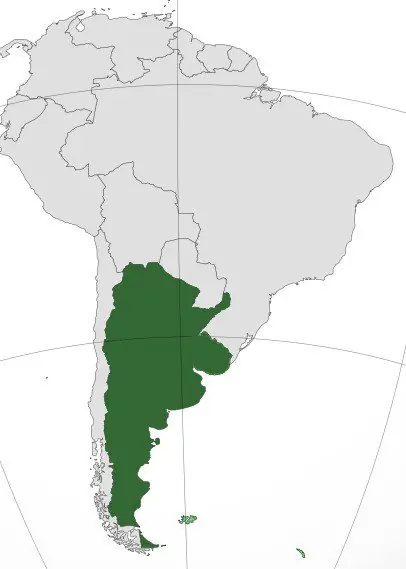 ni uno menos ni uno menos