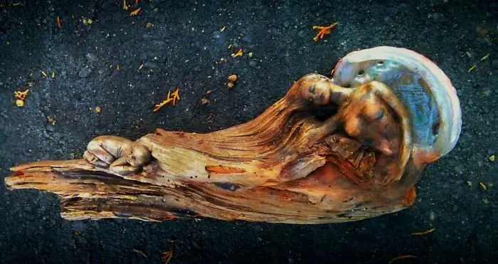 trozos de madera