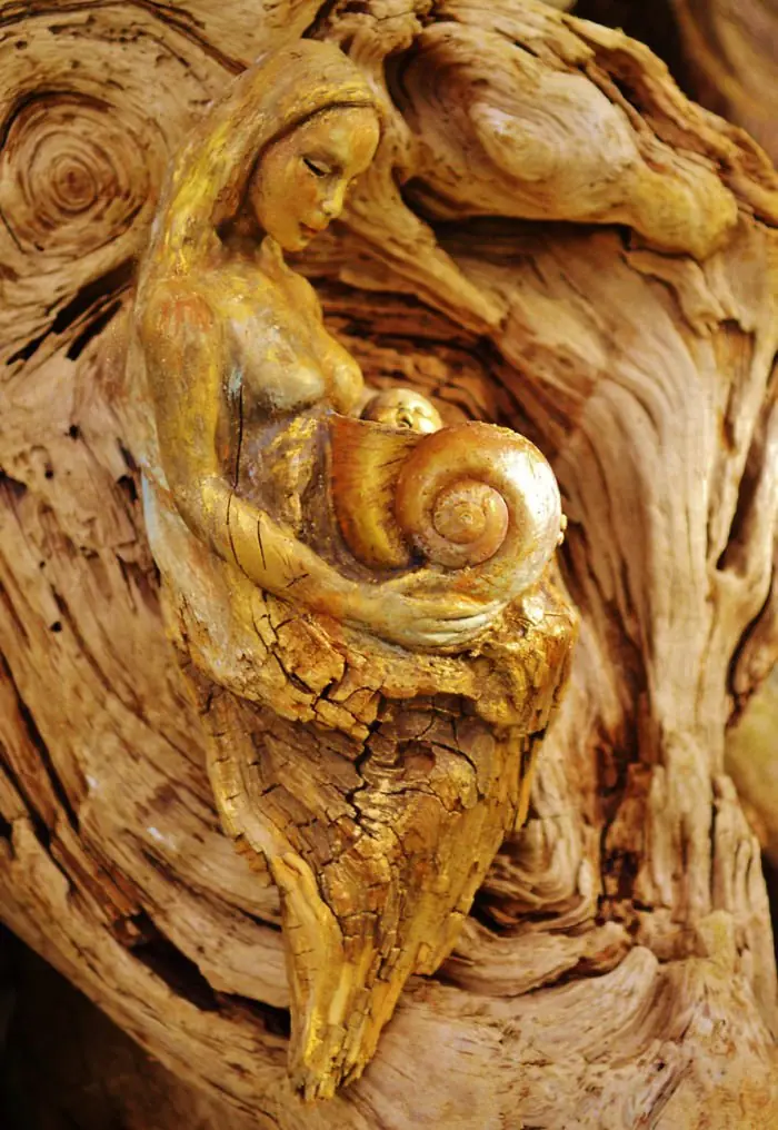 Oceano
