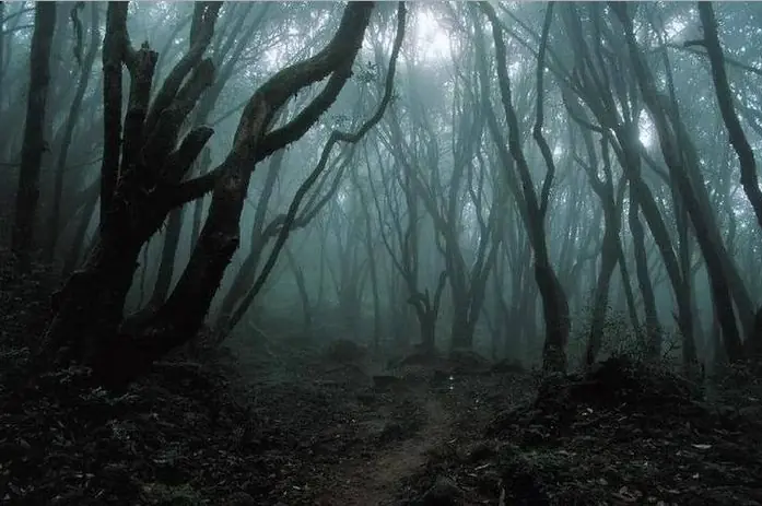 Las 5 desapariciones más misteriosas en todo el mundo