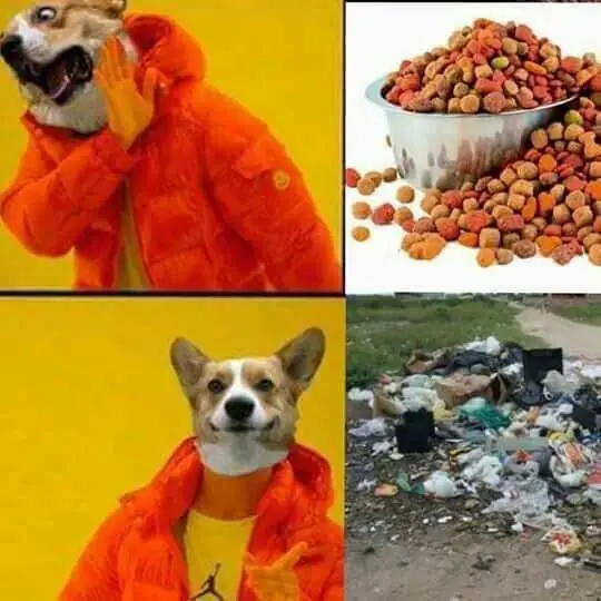 memes