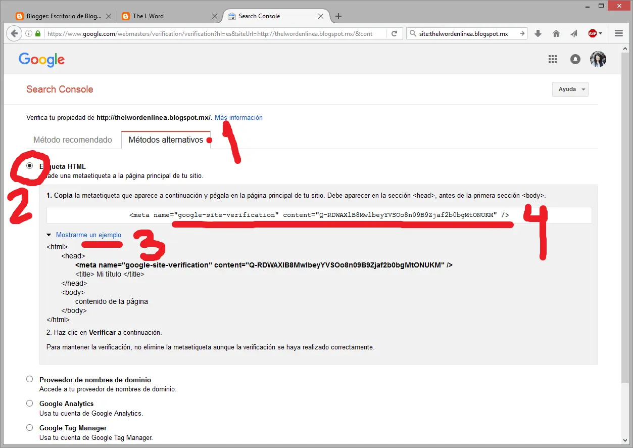 anadir sitio web como propiedad
