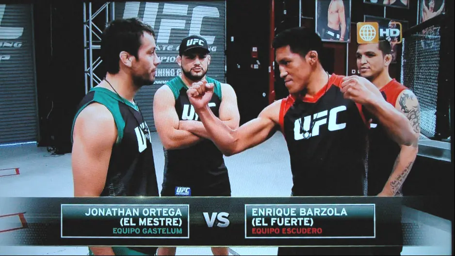 Peruano vence a Chileno y pasa a semifinales - MMA