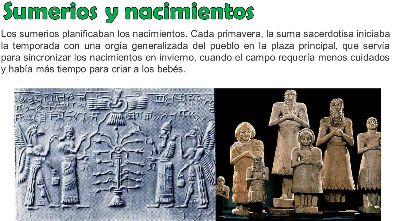 curioseadores