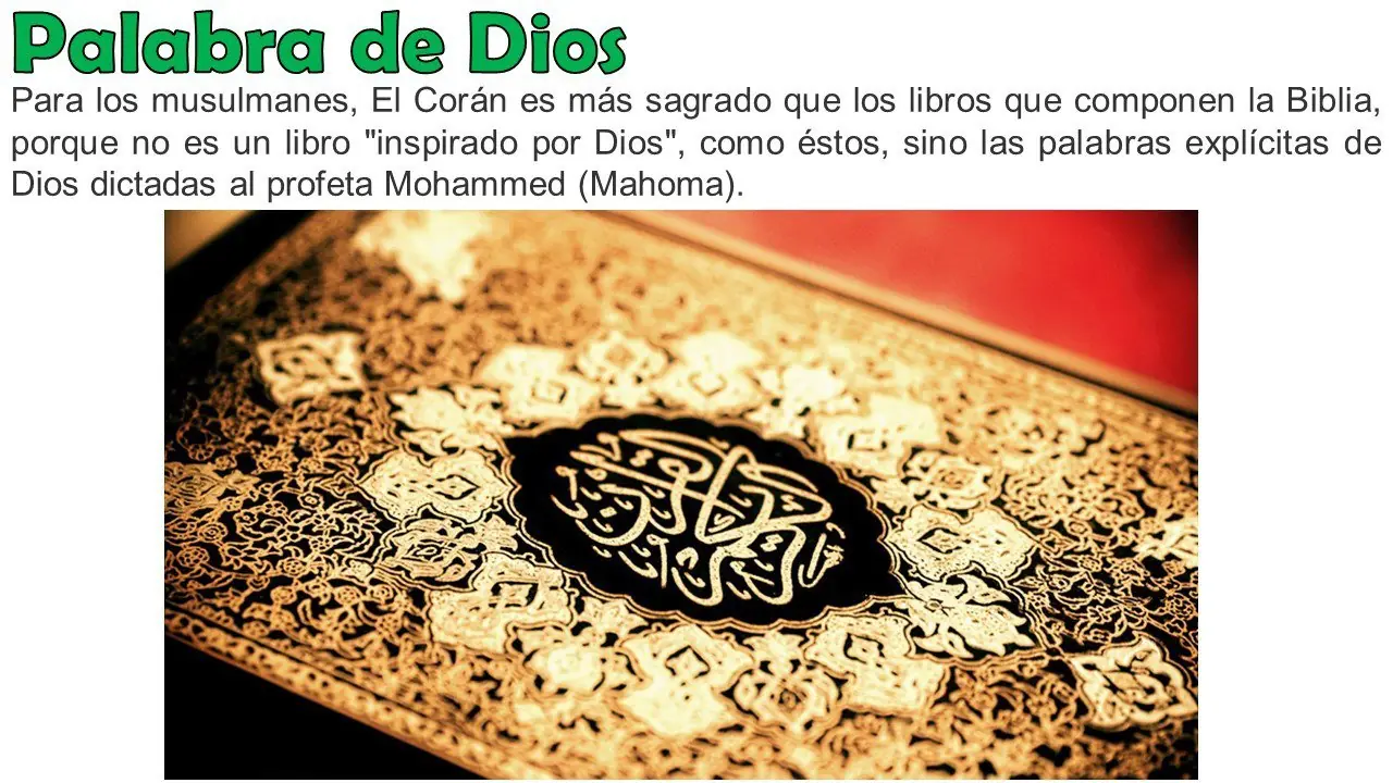 curiosidades