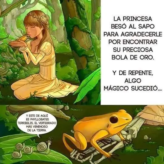 consejo