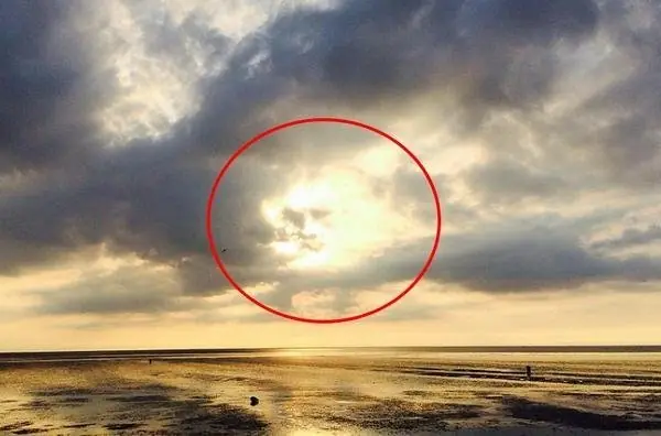 Cientificos descubren mensaje secreto de Dios en el ADN Hum.