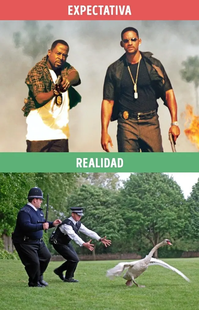 profesiones