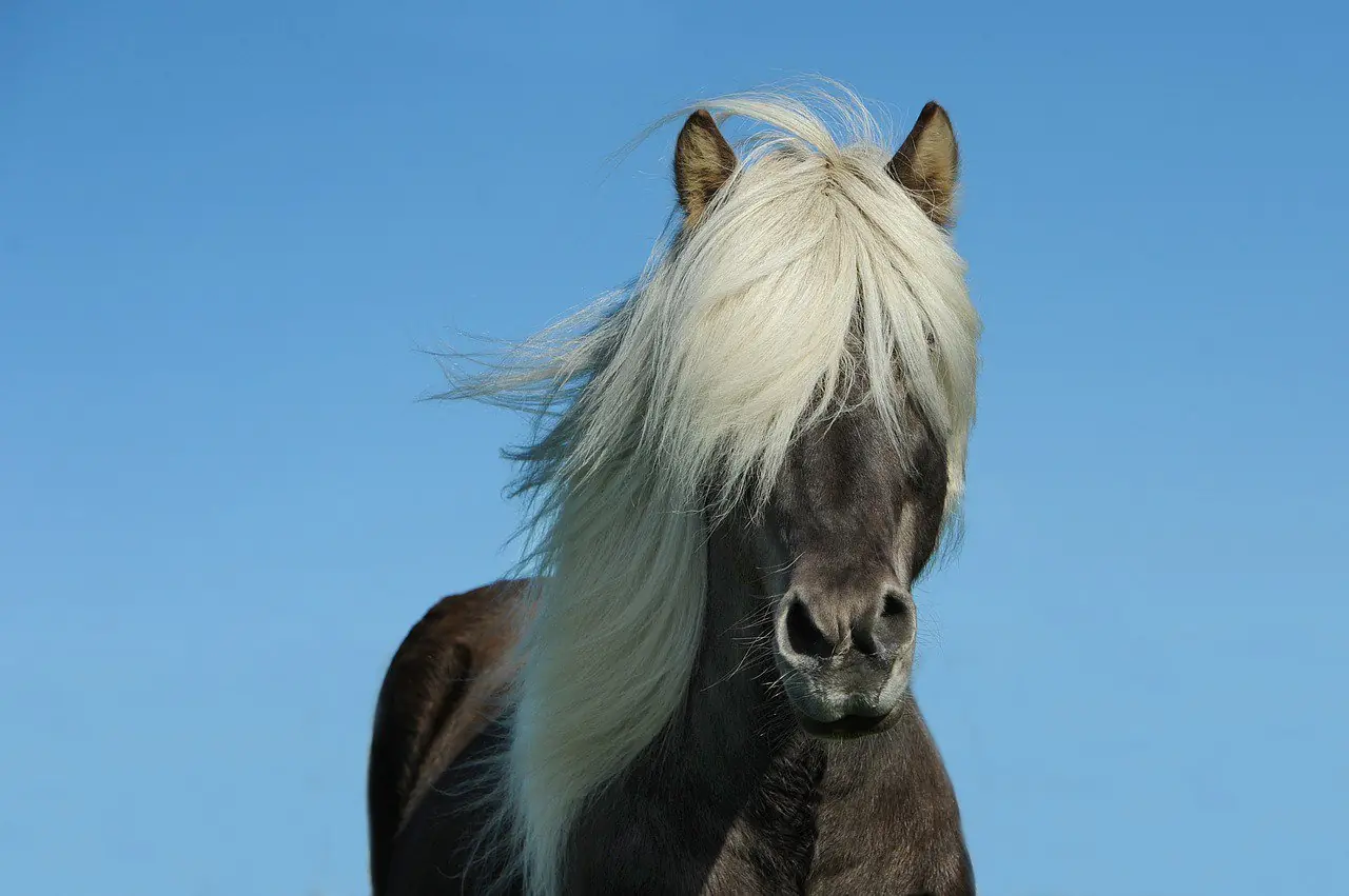 10 similitudes entre los animales y nosotros (no te mientas)