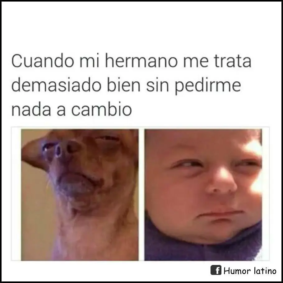 ¿Desvelado? Toma imágenes de humor #16