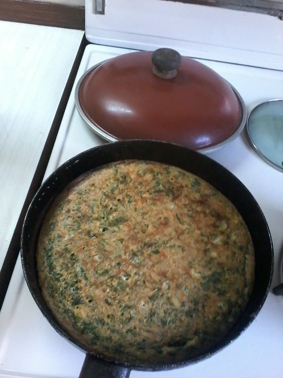 Tortilla Tortilla