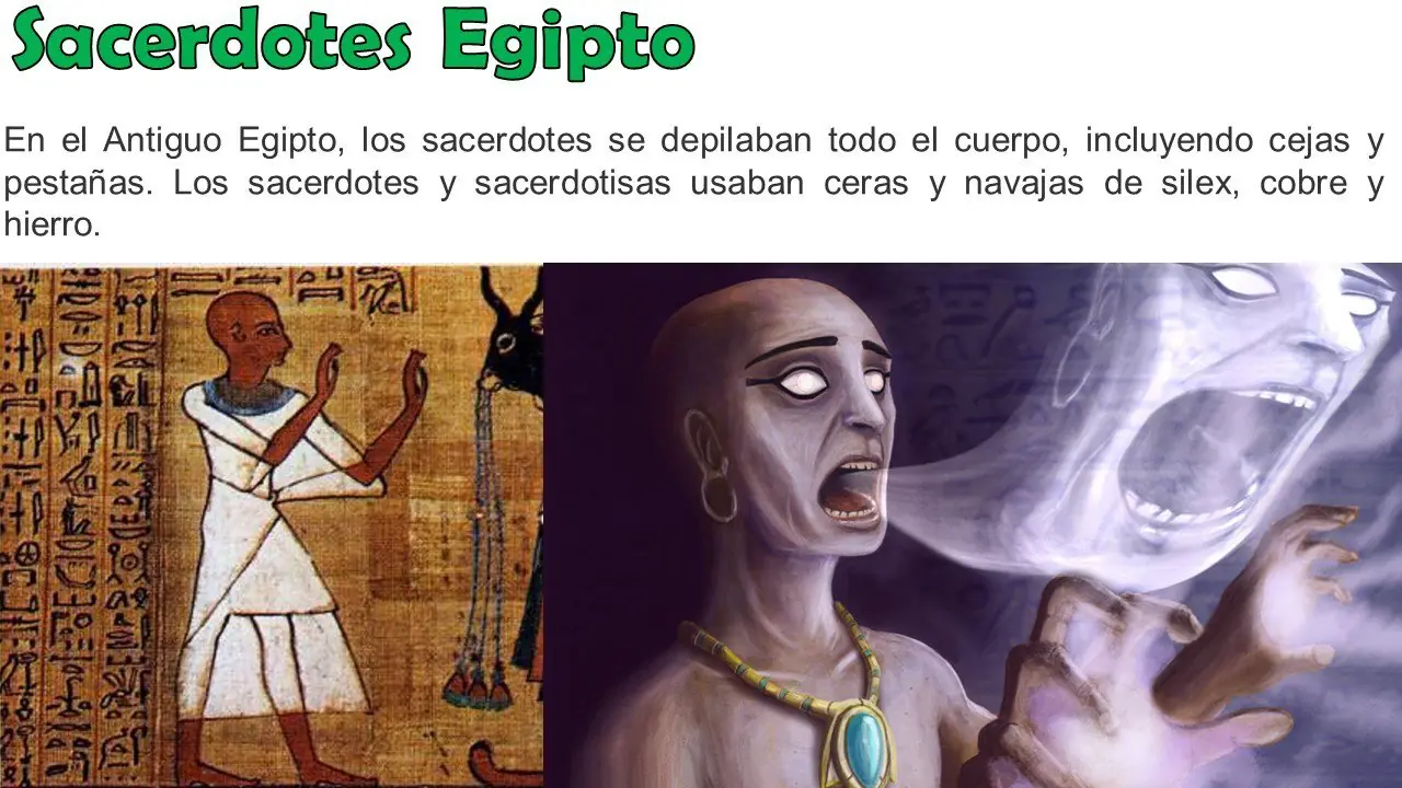 Curiosos