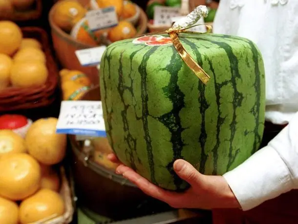 la cultura Japonesa