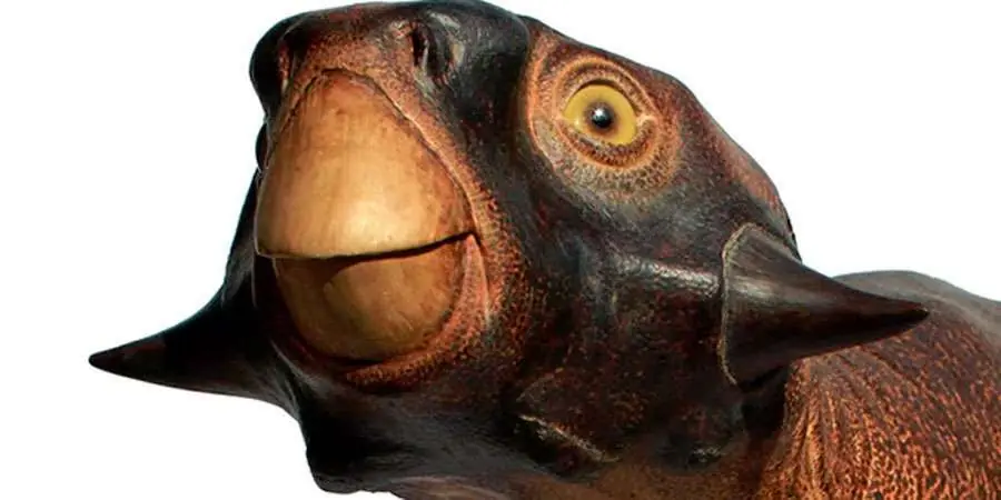 psitacosaurios