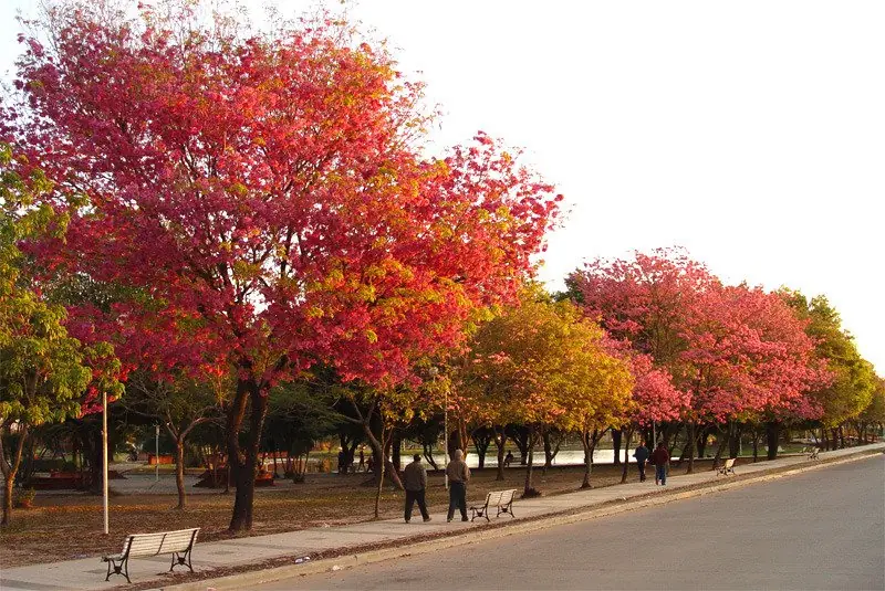 mi provincia