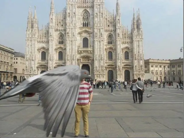 foto