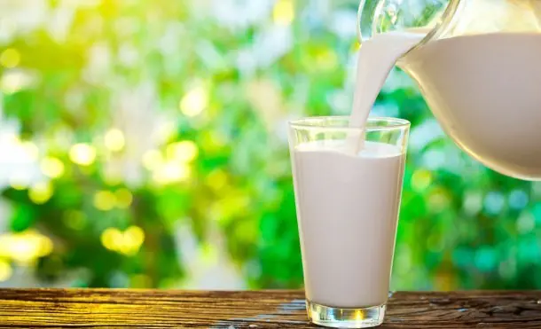 Leche sin vacas: de la probeta al vaso
