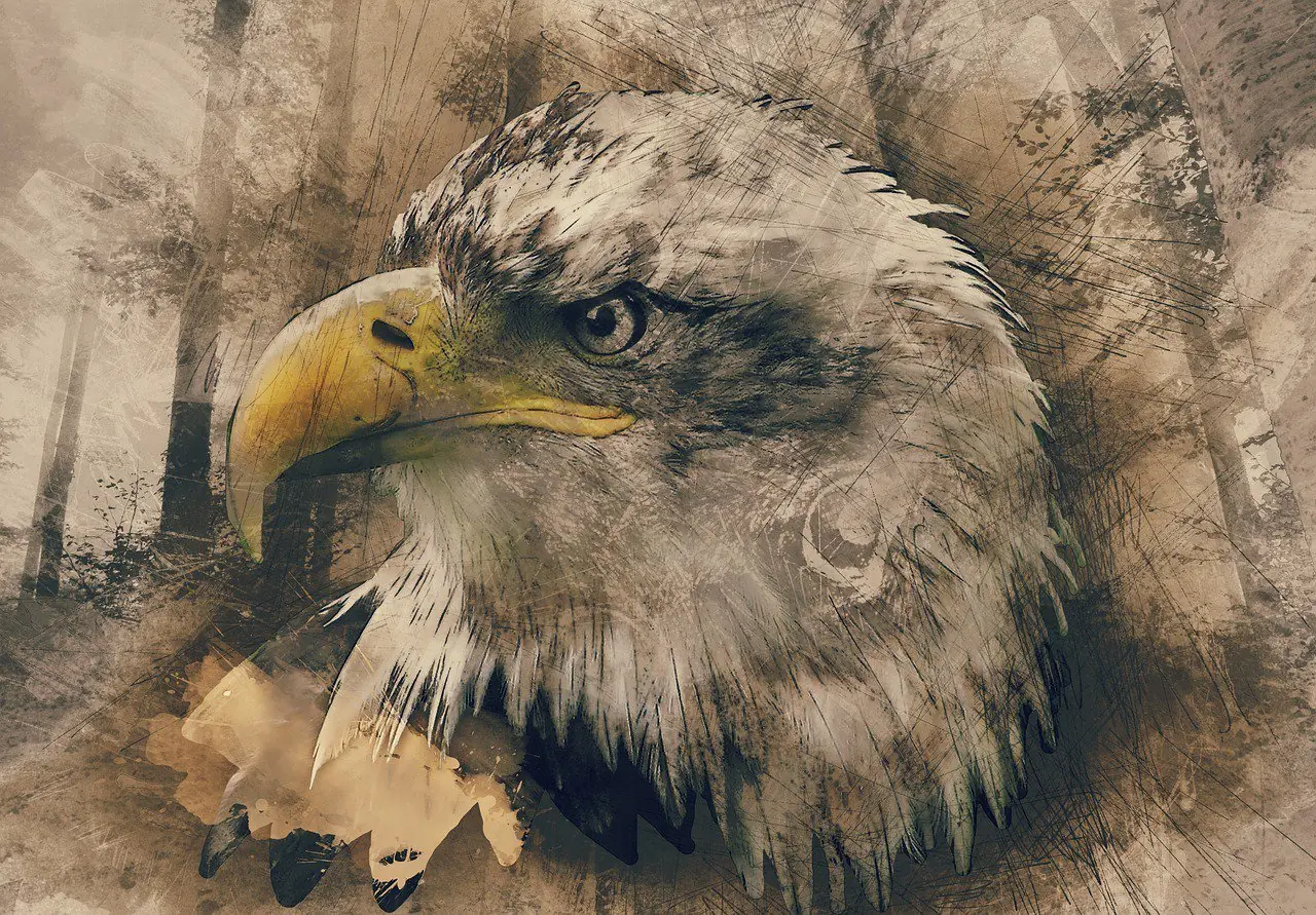 animales