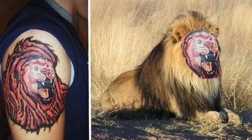 wtf