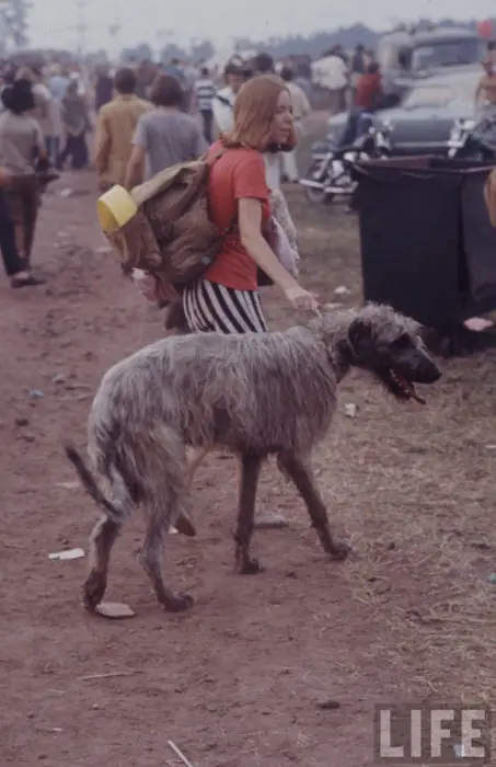 Así es como se vivía la vida Hippie en los 60’s