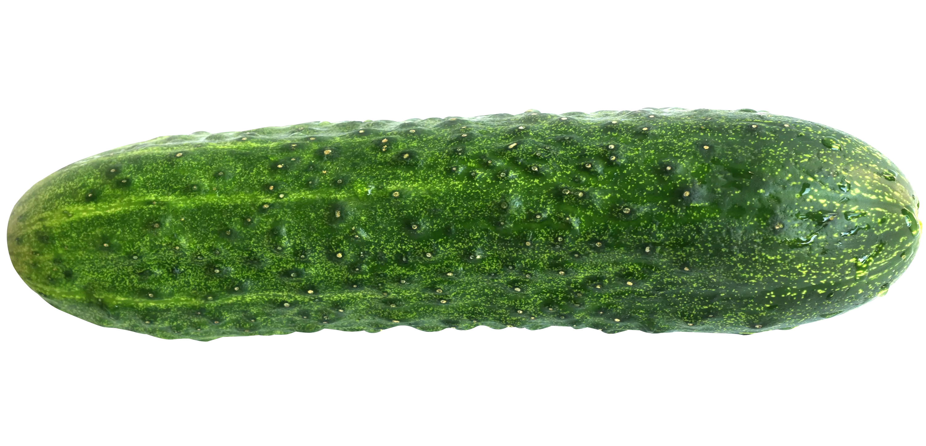 mejor pepino
