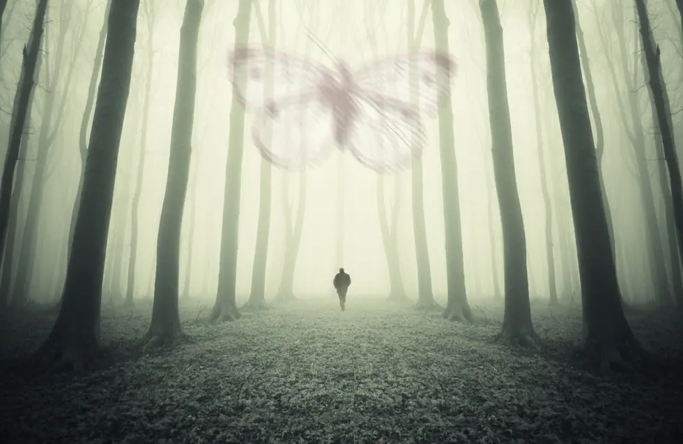 Idrid Cold, El Cazador del Mothman.