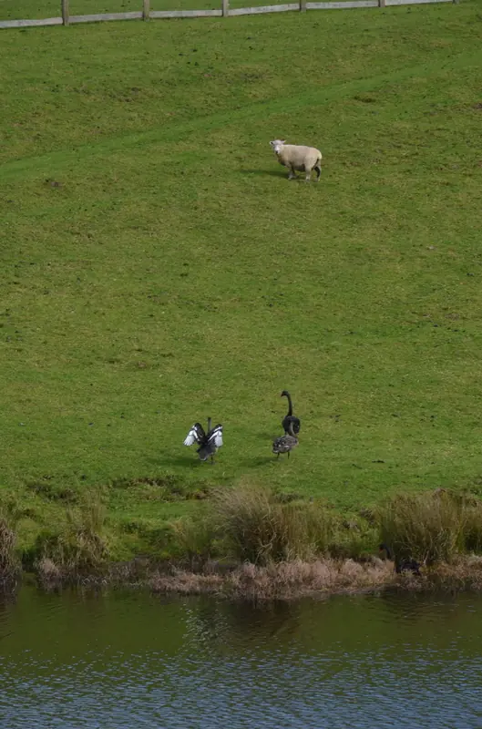 hobbiton