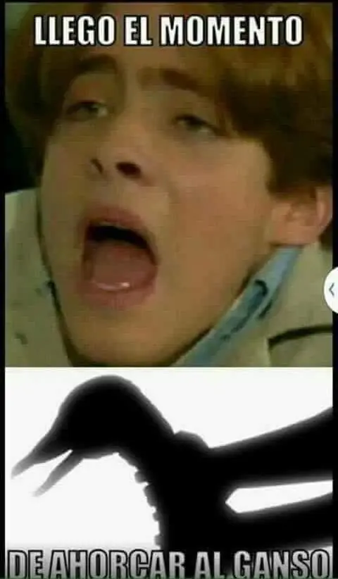Ahorcar el ganso