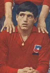 seleccion chilena