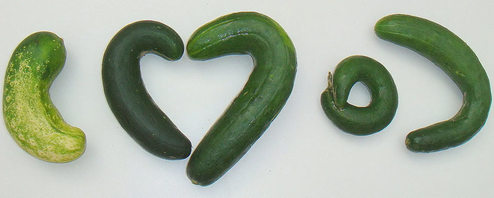 mejor pepino