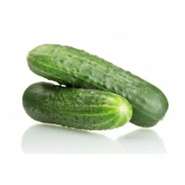 Fotos de Pepinos. Elegí tu pepino