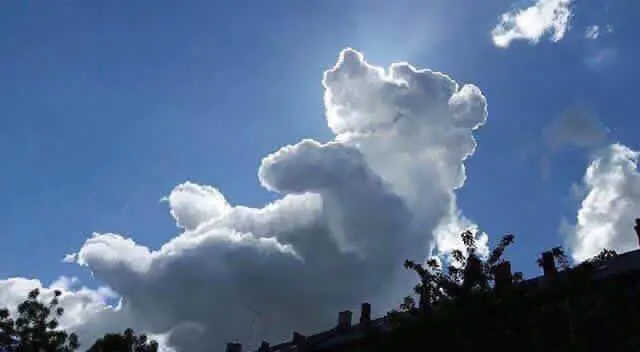 nube
