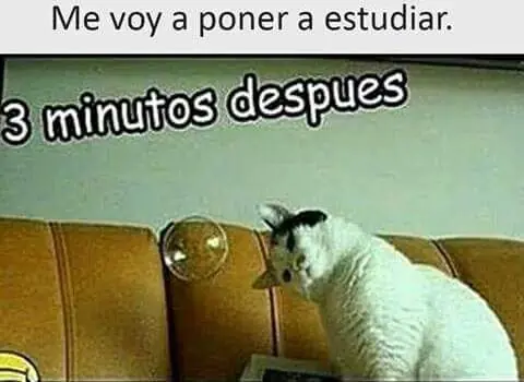 denuncia