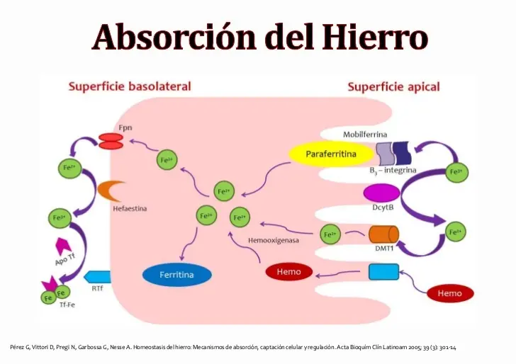 HIerro