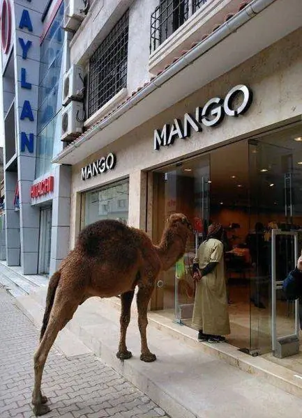 humor megapost