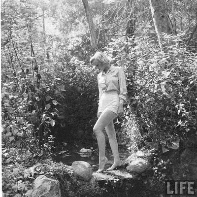 revista life revista life