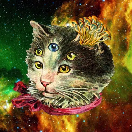 Los Collages Surrealistas de Eugenia Loli. Pt 2