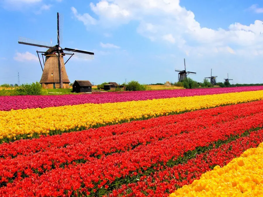 Holanda