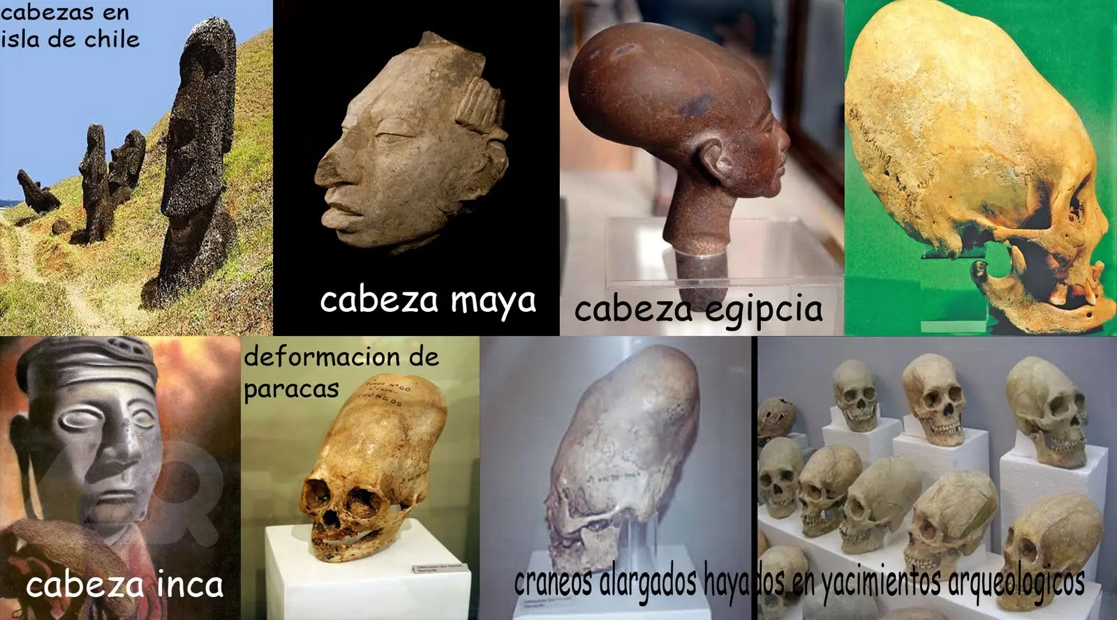 paracas